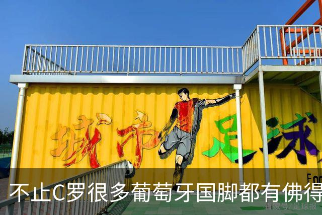 不止C罗很多葡萄牙国脚都有佛得角血统 还有中国归化球员德尔加多