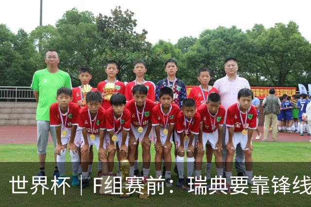 世界杯｜F组赛前：瑞典要靠锋线双星 突尼斯欲出线