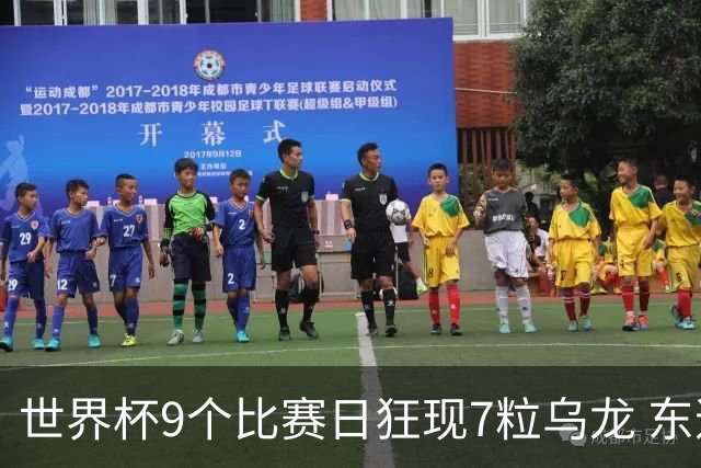 世界杯9个比赛日狂现7粒乌龙 东道主美国成最大受益者