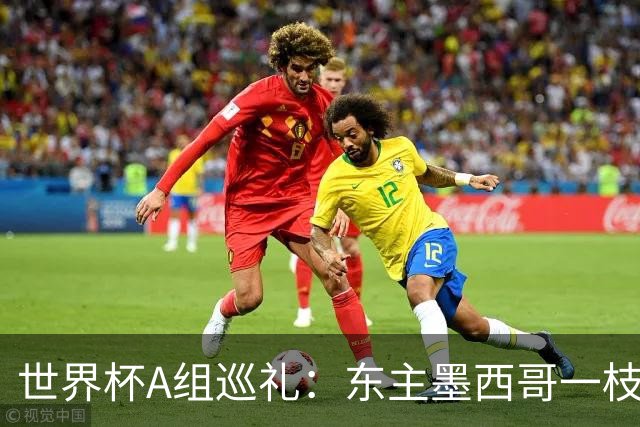 世界杯A组巡礼：东主墨西哥一枝独秀 韩国有望突破历史