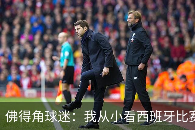 佛得角球迷：我从小看西班牙比赛长大 能拿到一分不可思议