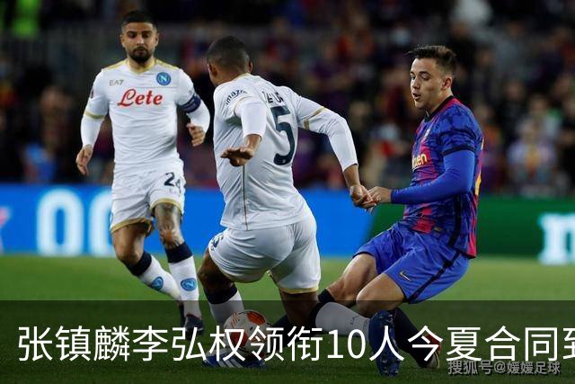 张镇麟李弘权领衔10人今夏合同到期：上海除王哲林两大顶薪花落谁家？