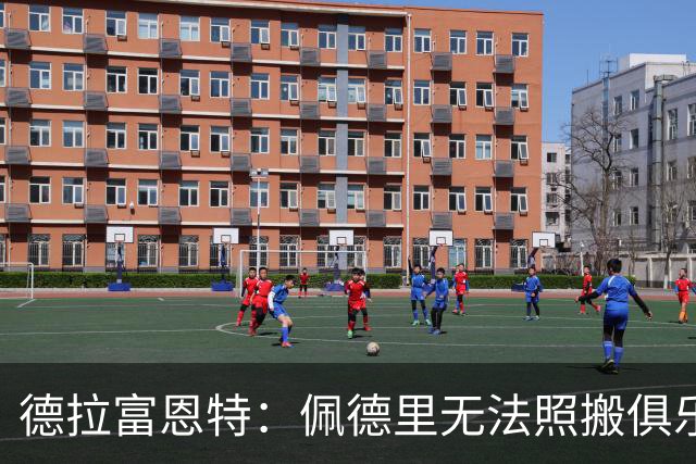 德拉富恩特：佩德里无法照搬俱乐部踢法 法国队擅长快节奏的比赛